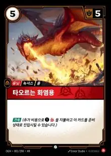 타오르는 화염용 일반